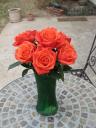 Flowers Outside